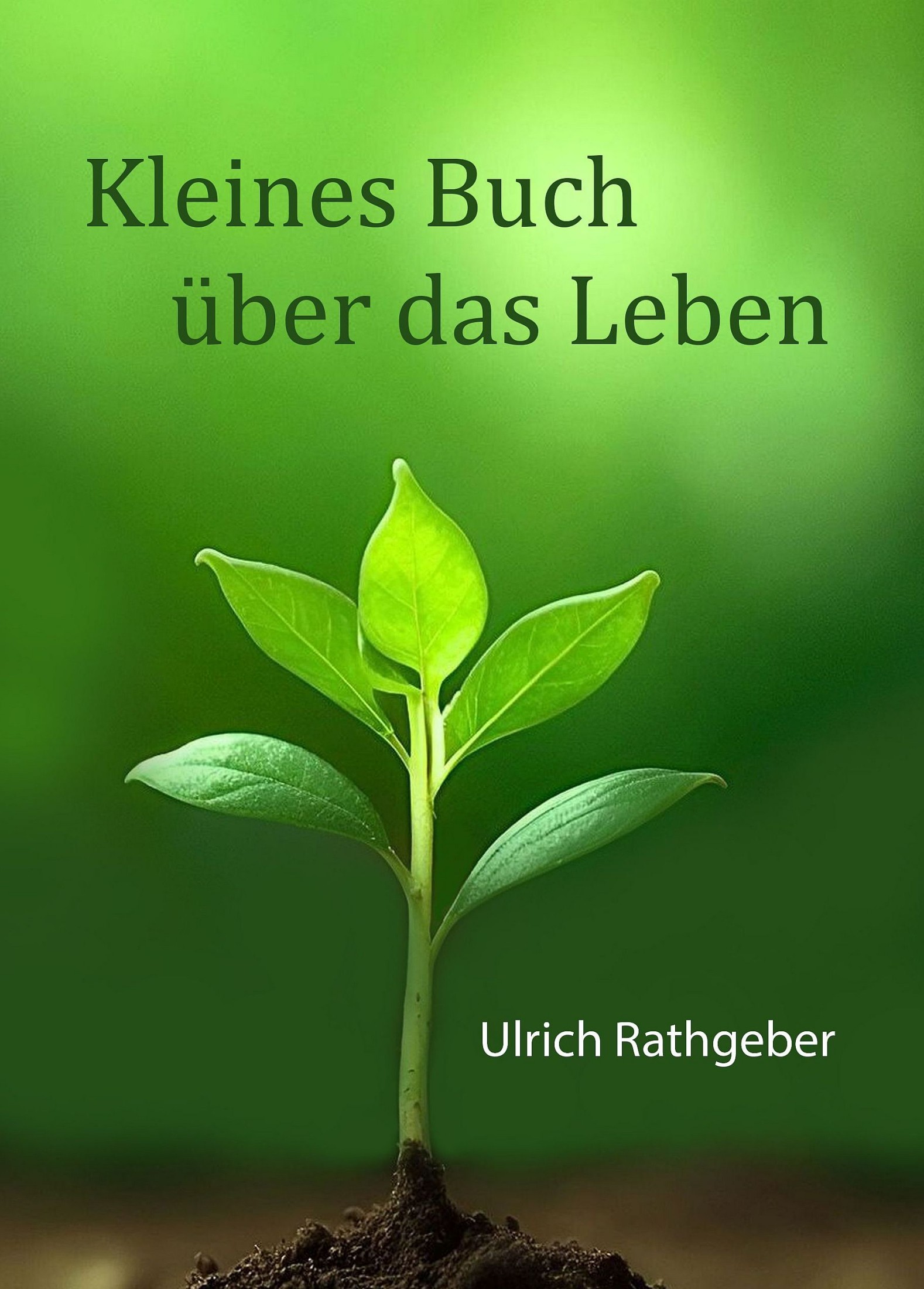 Buch 3 – Buchcover